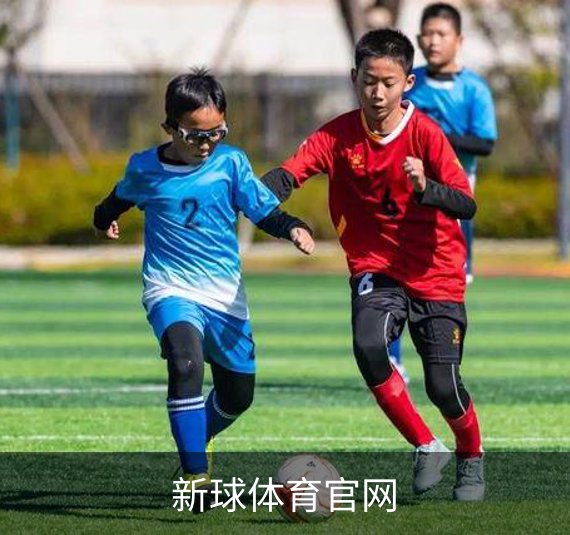了解新球体育官网